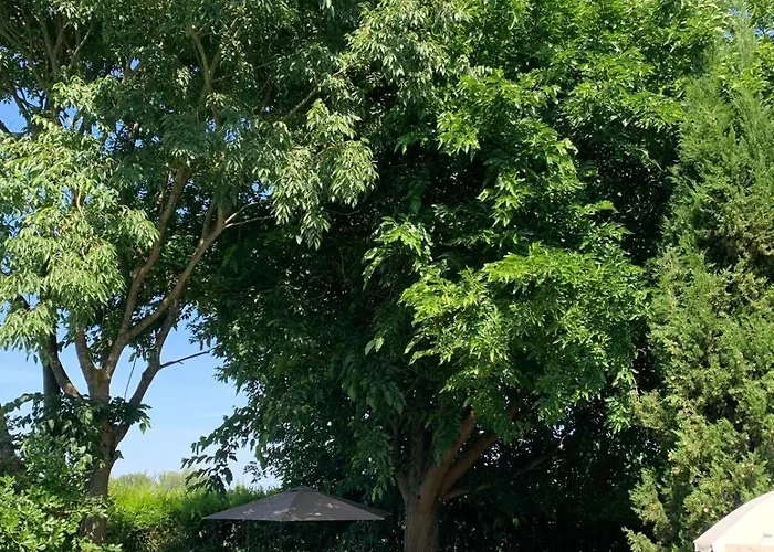 Gelsomono Con Piscina Esclusiva Ferrara